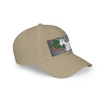 Load image into Gallery viewer, Low Profile Baseball Cap
